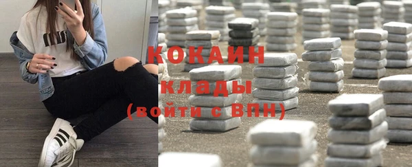 крисы Аркадак