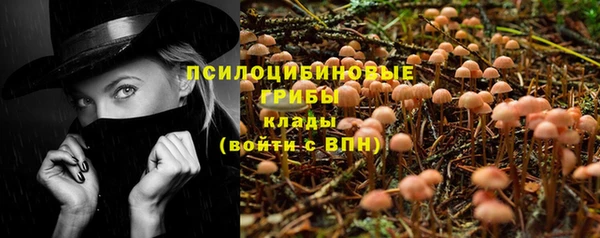 гашик Алексеевка