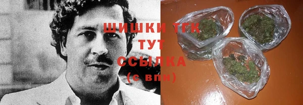 гашик Алексеевка