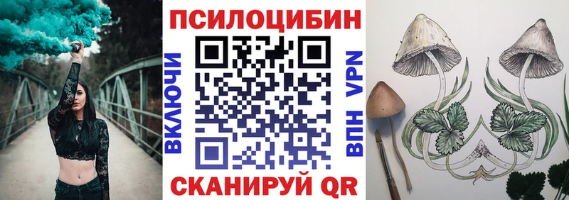 Псилоцибиновые грибы ЛСД  Новороссийск 